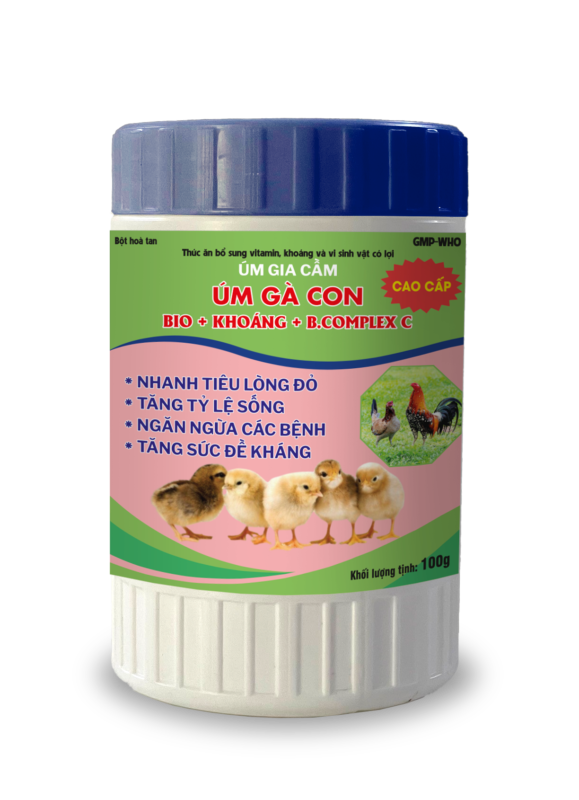 ÚM GÀ CON