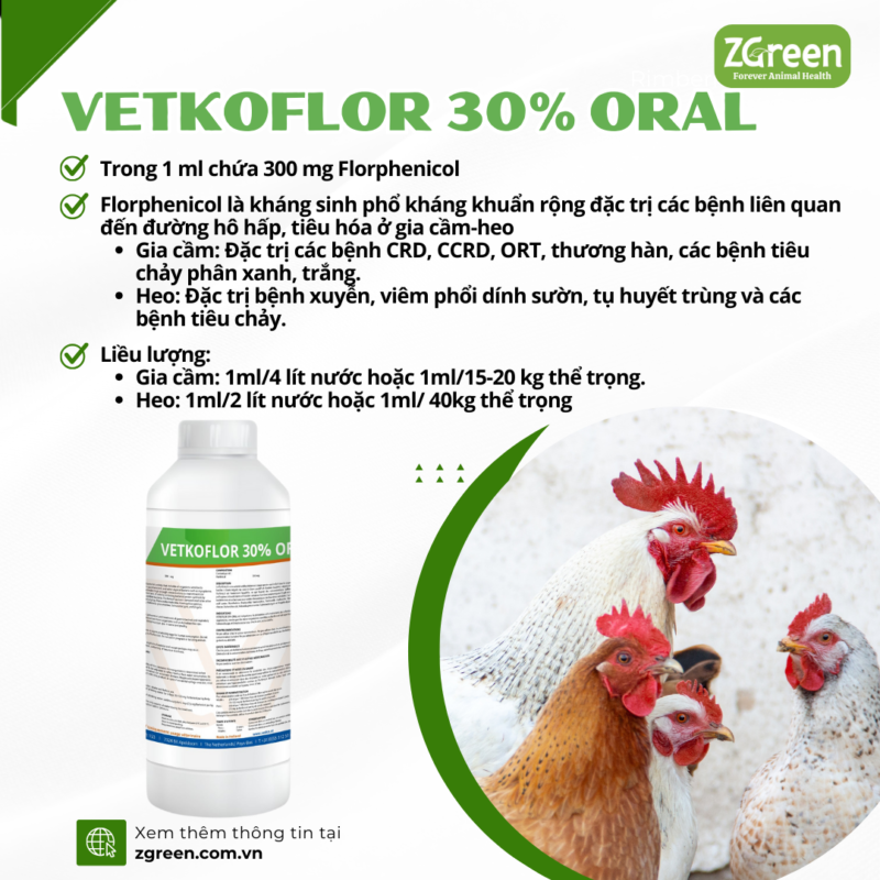 Cách Florphenicol Hỗ Trợ Sức Khỏe Động Vật