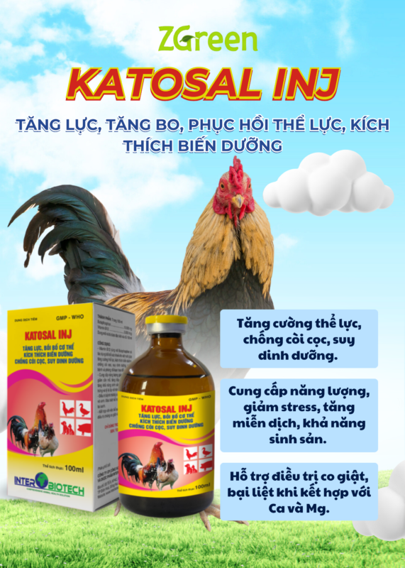 KATOSAL INJ – Dung Dịch Tiêm Tăng Lực, Tăng Bo, Phục Hồi Thể Lực, Kích Thích Biến Dưỡng
