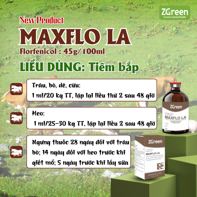 MAXFLO LA - Giải Pháp An Toàn Và Hiệu Quả Cho Chăn Nuôi Bền Vững