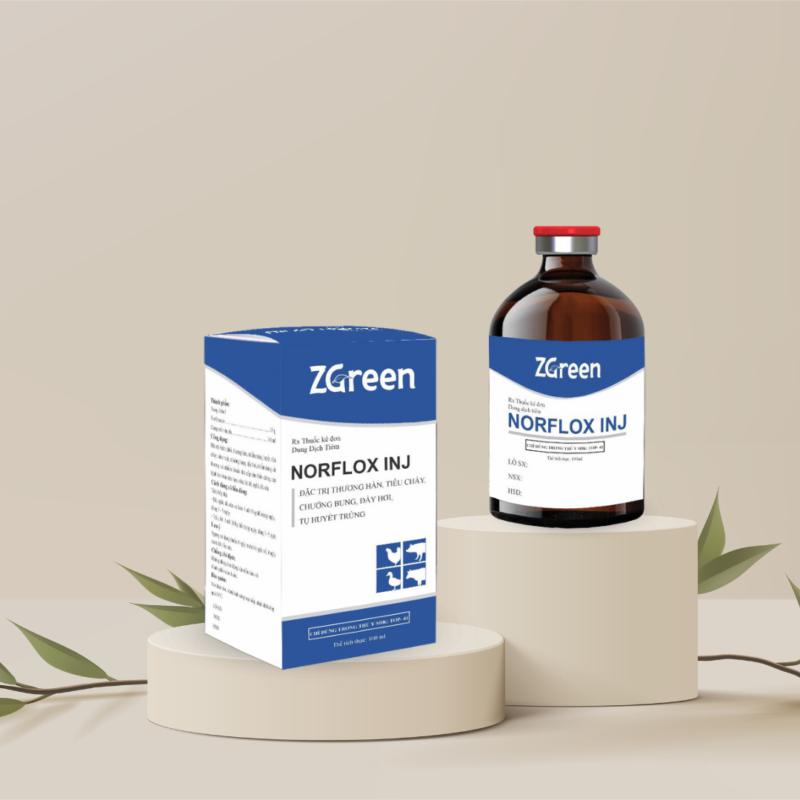 NORFLOX INJ - Giải pháp đặc trị thương hàn, tiêu chảy, chướng bụng cho gia súc