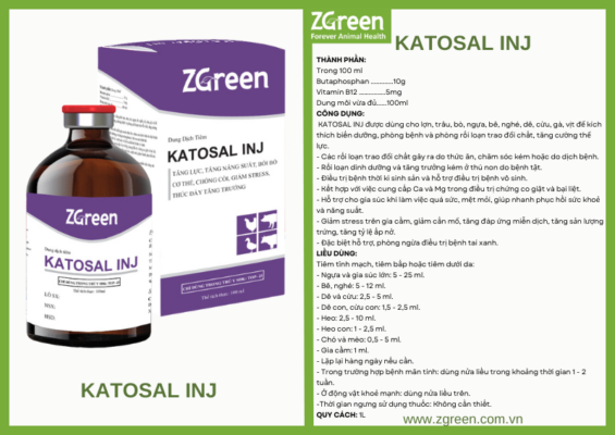 KATOSAL INJ