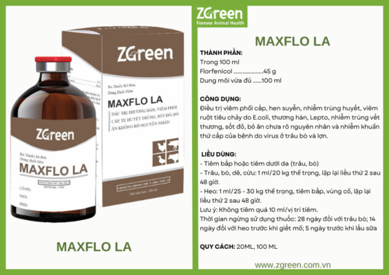 MAXFLO LA