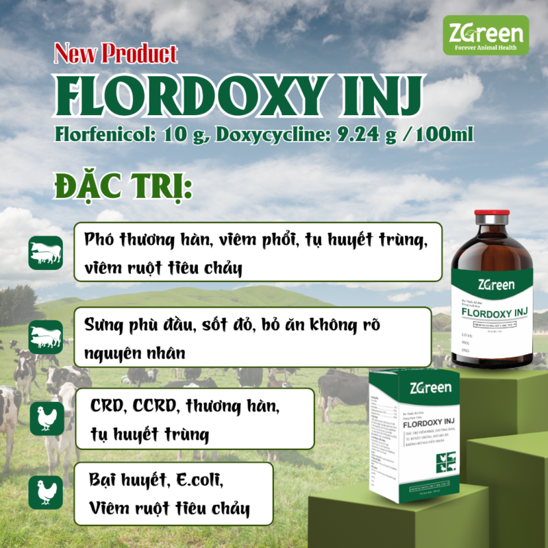 FLORDOXY INJ - Công Thức "2 Trong 1" Đặc Trị Viêm Phổi, Thương Hàn Trên Gia Súc, Gia Cầm