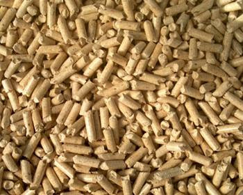 Tối ưu hóa chi phí thức ăn cho gà thịt nhờ bổ sung enzyme phức hợp protease