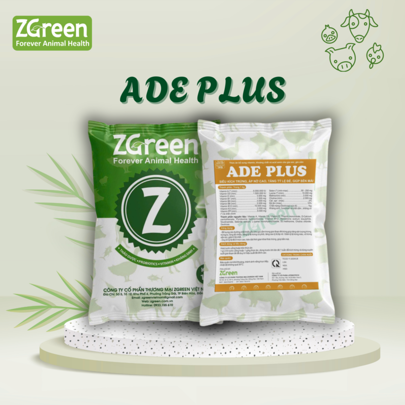 ADE PLUS