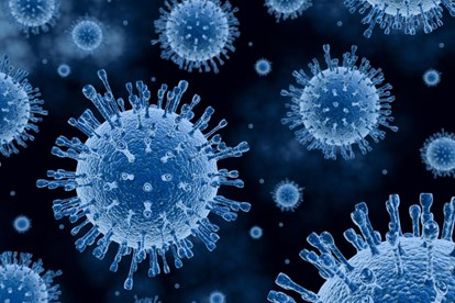 ANTISEP 300 – Giải pháp sát trùng hiệu quả với virus lở mồm long móng, tai xanh, dịch tả