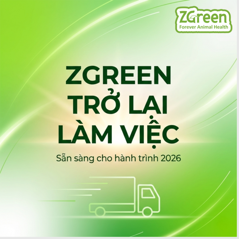ZGREEN CHÍNH THỨC TRỞ LẠI LÀM VIỆC SAU TẾT 2026 – SẴN SÀNG KHỞI ĐỘNG NĂM MỚI