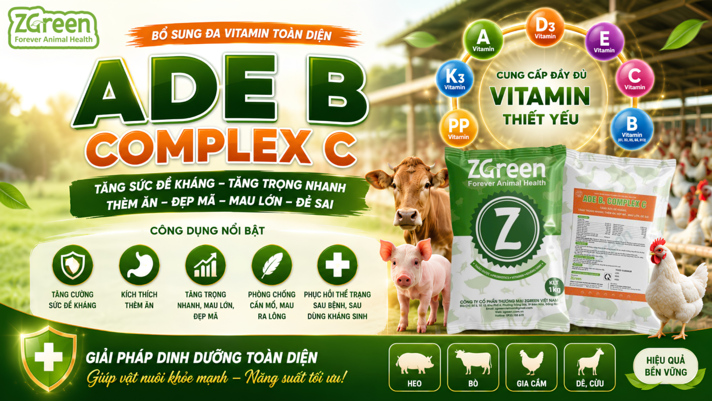 ADE B COMPLEX C là gì? Giải pháp bổ sung vitamin tổng hợp cho gia súc, gia cầm
