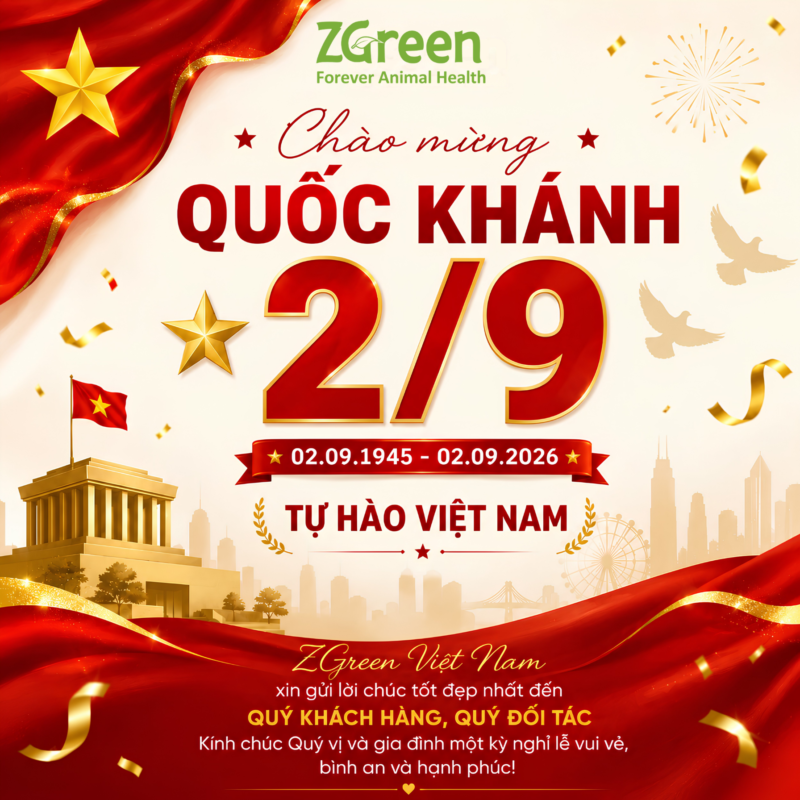 Mừng Quốc khánh 2/9/2026 – ZGreen Việt Nam tự hào hòa chung ngày hội non sông
