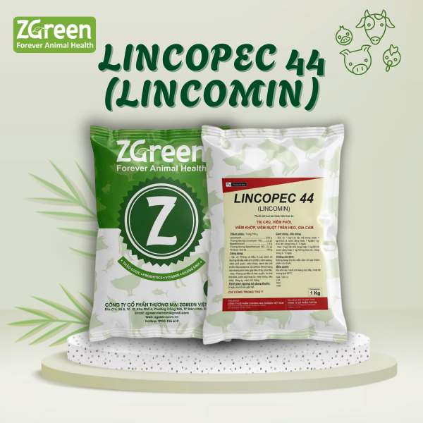 LINCOPEC 44 LINCOMIN