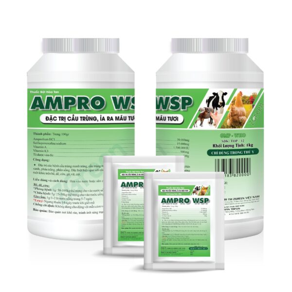 AMPRO WSP