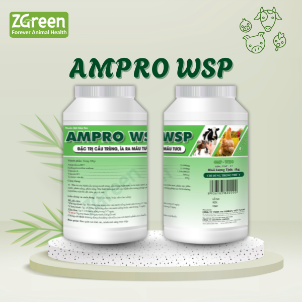 AMPRO WSP