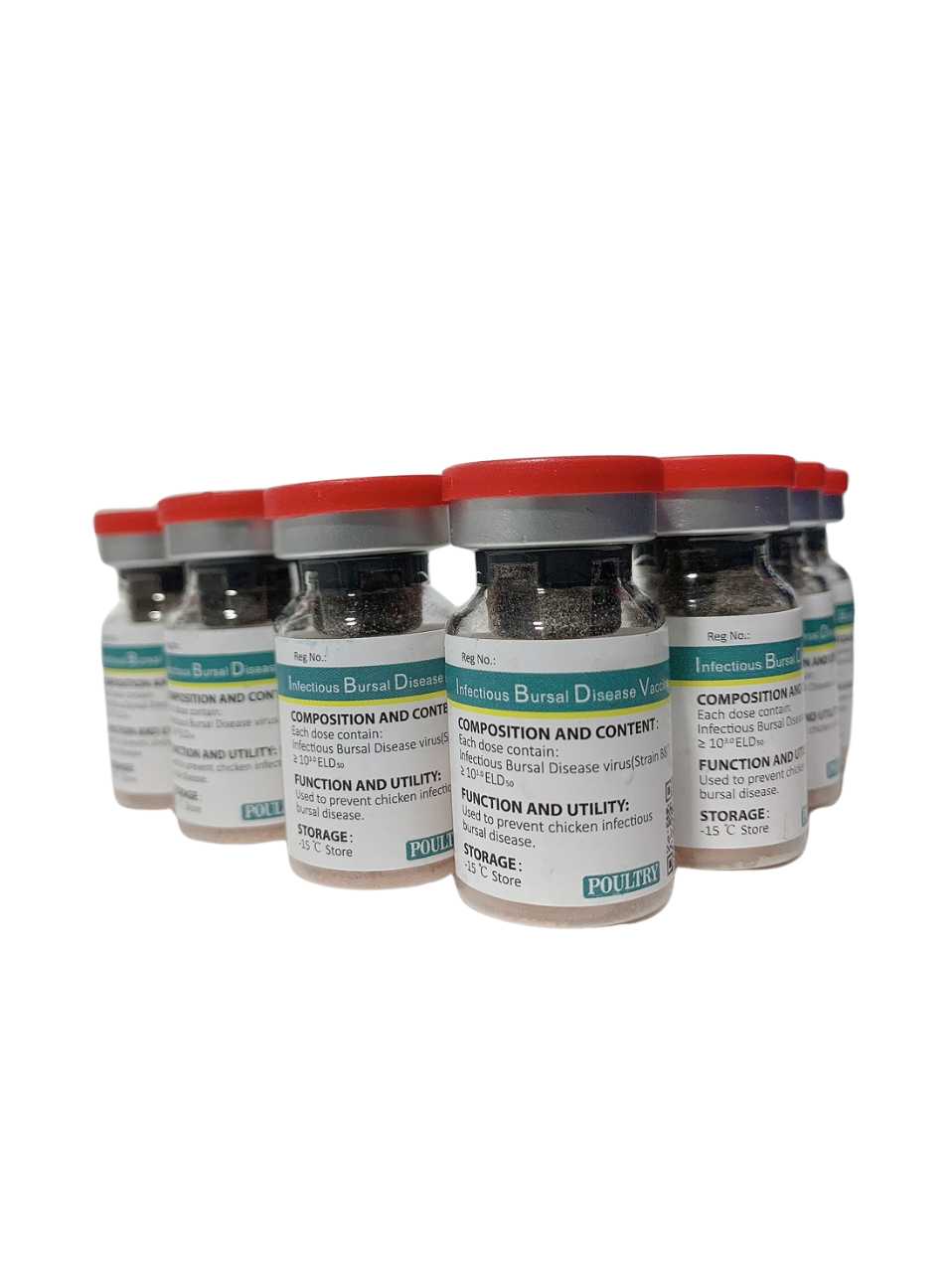 2 Vắc xin Infectious Bursal Disease Vaccine, Live (Strain B87)