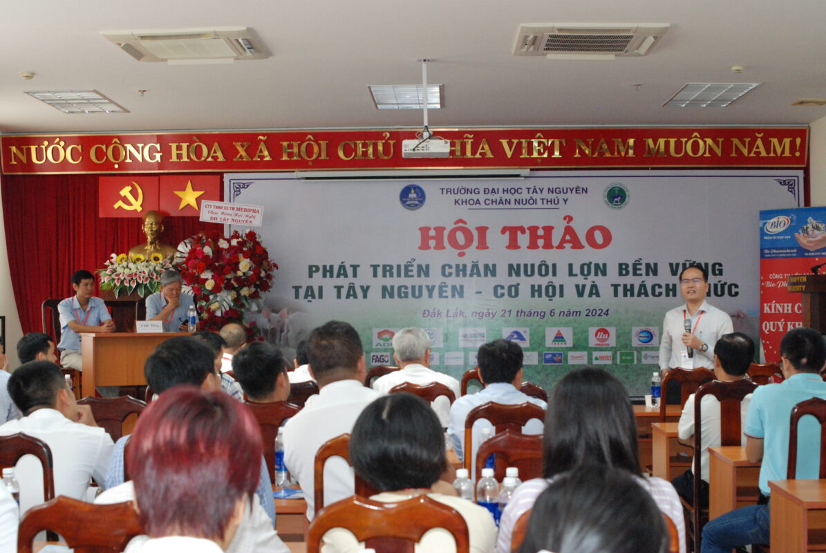 Phát triển chăn nuôi lợn bền vững tại Tây Nguyên: Cơ hội và thách thức