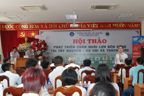 Phát triển chăn nuôi lợn bền vững tại Tây Nguyên: Cơ hội và thách thức