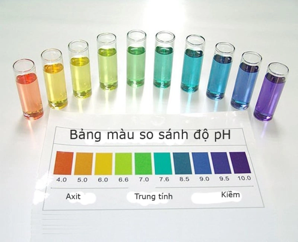 Độ ph của nước