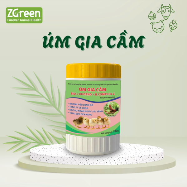 ÚM GIA CẦM