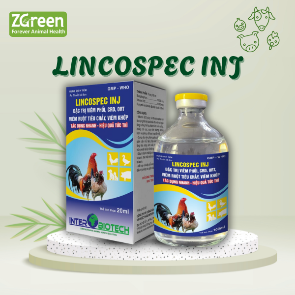 LINCOSPEC INJ