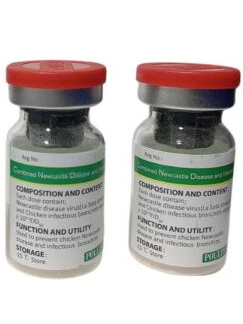 BỆNH VIÊM PHẾ QUẢN TRUYỀN NHIỄM - IB