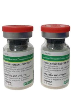 NGUYÊN TẮC SỬ DỤNG THUỐC TRONG PHÒNG VÀ TRỊ BỆNH