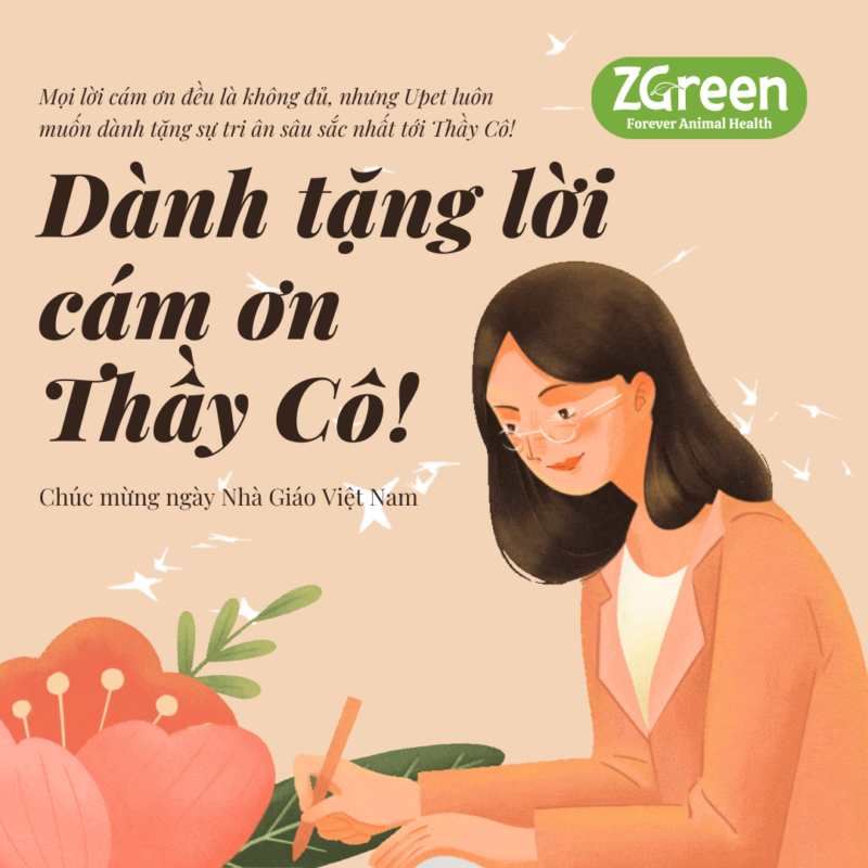 Chào Mừng Ngày Nhà Giáo Việt Nam 20/11!