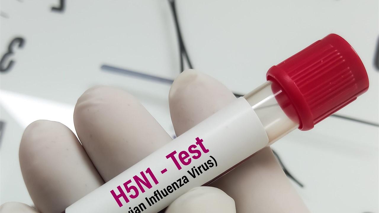 Cúm H5N1