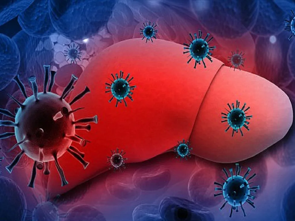 Nghiên Cứu Trên Heo Cho Thấy Virus Viêm Gan E Có Thể Là Một Bệnh Lây Truyền Qua Đường Tình Dục