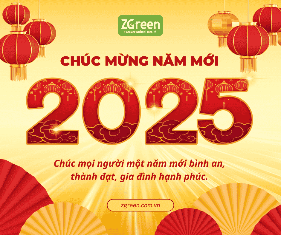 ZGreen - Chúc Mừng Tết Dương Lịch 2025