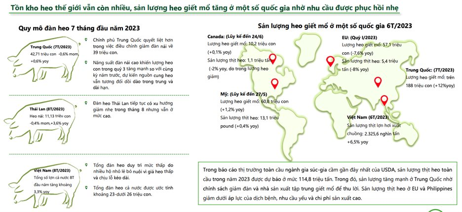 Nhiều Bất Cập Trong Đánh Giá Tác Động Môi Trường Của Các Trang Trại Nuôi Heo