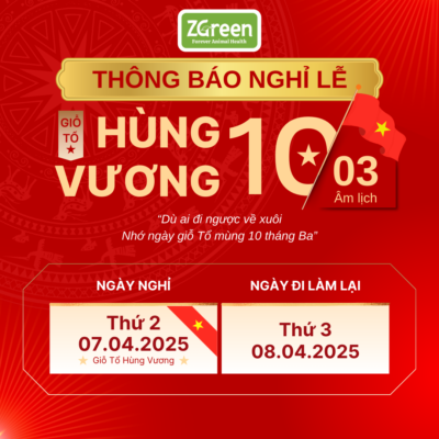 THÔNG BÁO NGHỈ LỄ GIỖ TỔ HÙNG VƯƠNG 2025 – LỊCH NGHỈ CHÍNH THỨC CỦA ZGREEN