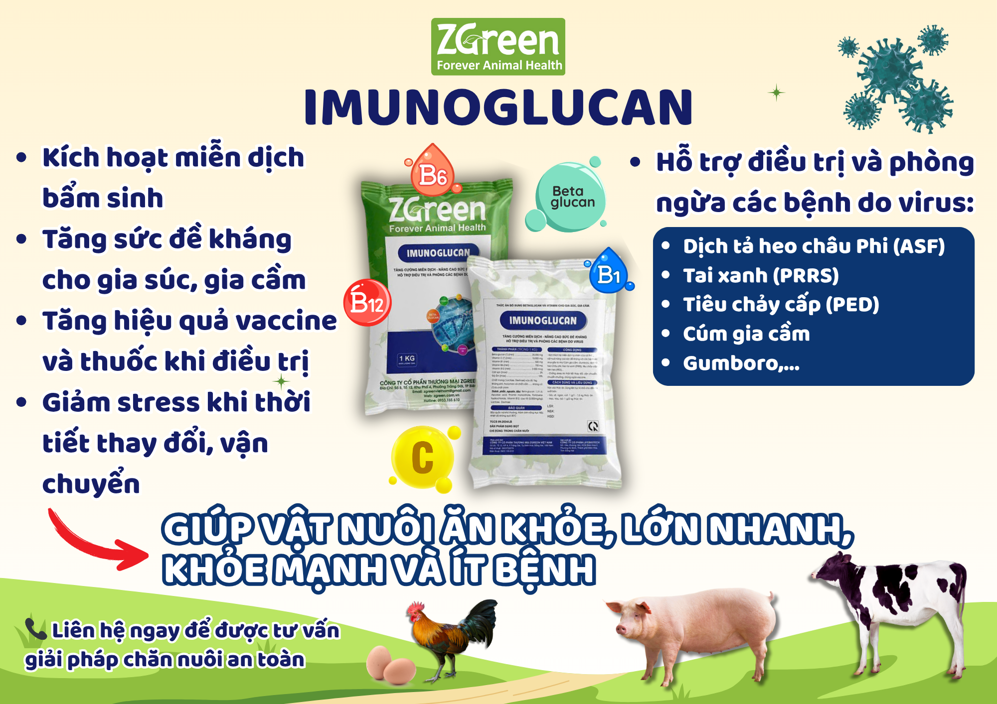 IMUNOGLUACAN