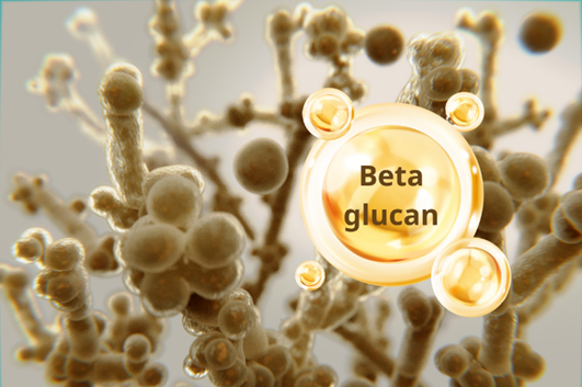 Vai trò của Beta-glucan trong việc nâng cao miễn dịch cho vật nuôi