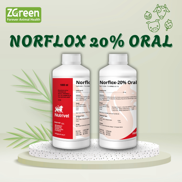18 NORFLOX-20% ORAL ( HÀ LAN )