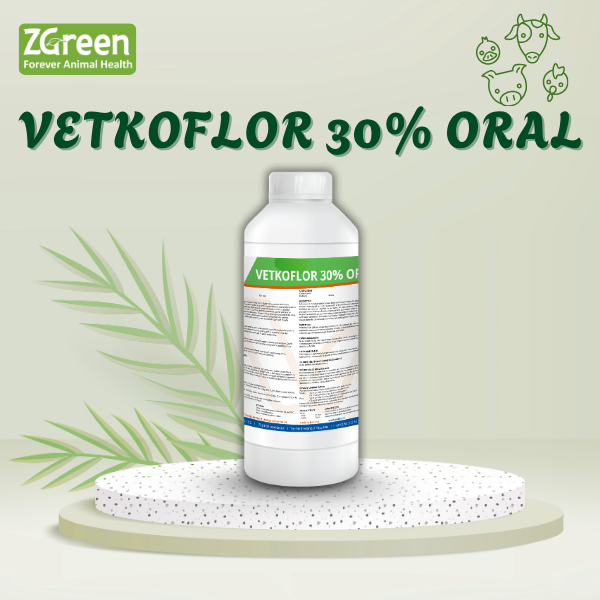 2 VETKOFLOR 30% ORAL