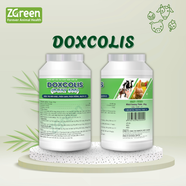 23 DOXCOLIS