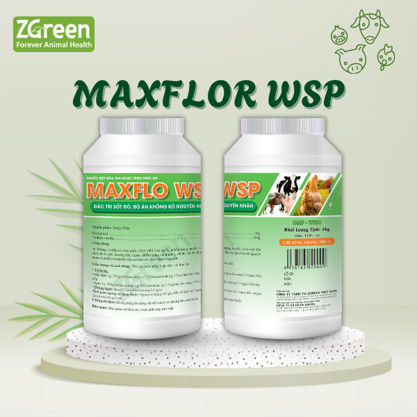 24 MAXFLO WSP