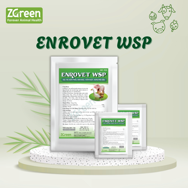 ENROVET WSP
