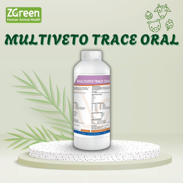 3 MULTIVETO TRACE ORAL ( tăng trứng cao cấp Hà Lan)