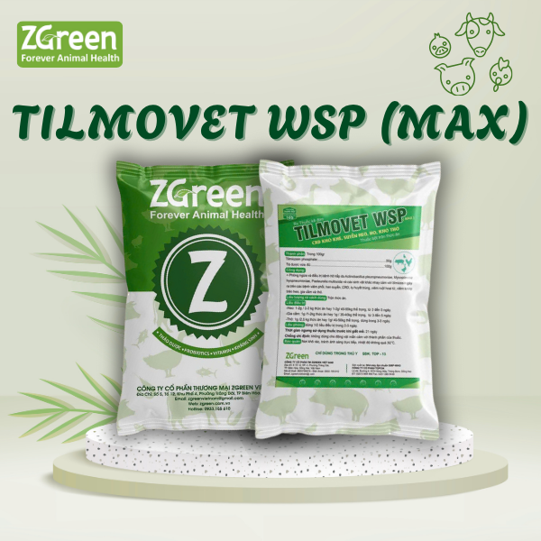 TILMOVET WSP(max)