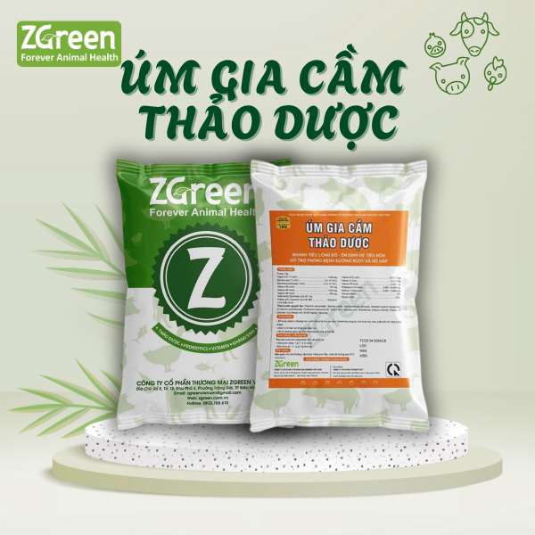 46 ÚM GIA CẦM THẢO DƯỢC