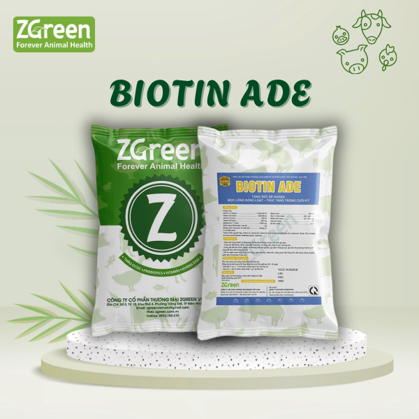 47 BIOTINE ADE