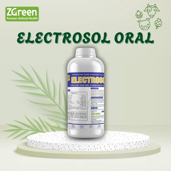 60 ELECTROSOL ORAL