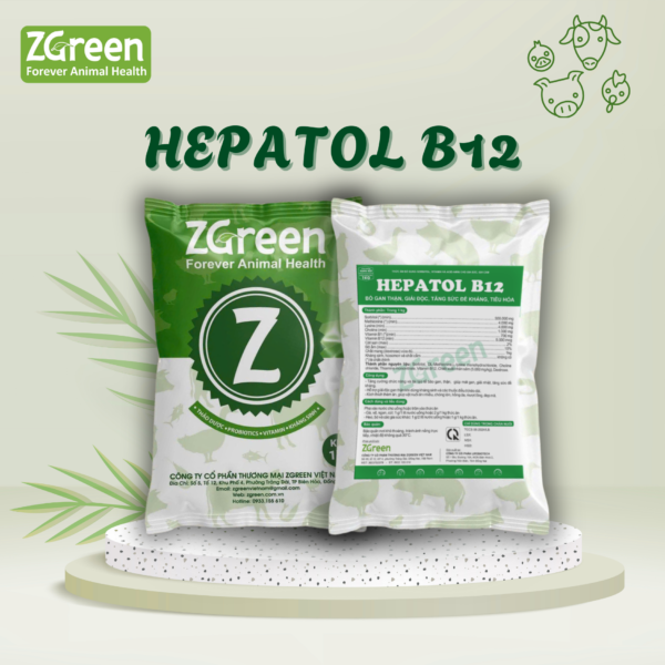 HEPATOL B12