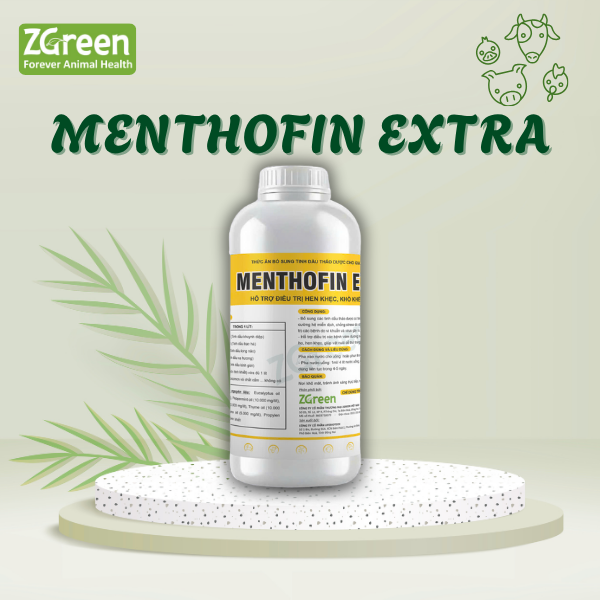 62 MENTHOFIN EXTRA
