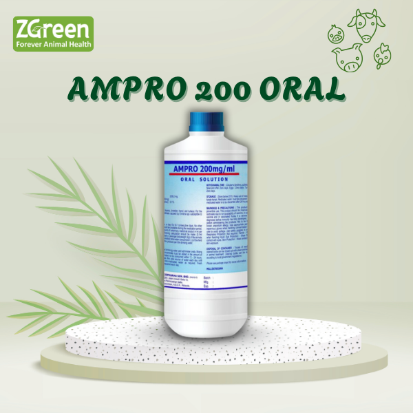 AMPRO 200 MG/ML ORAL SOLUTION