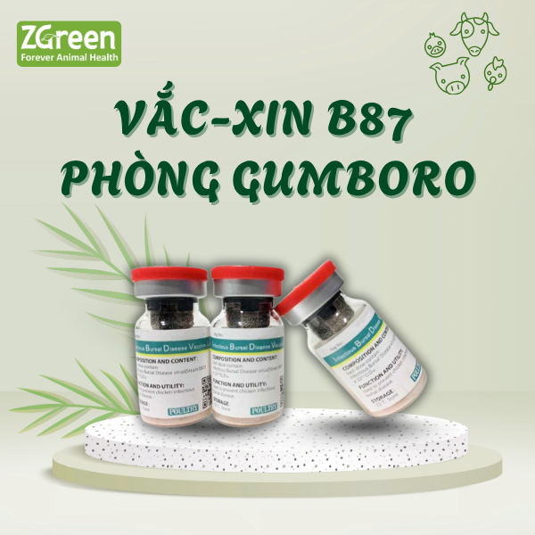 70 Vắc xin Infectious Bursal Disease Vaccine, Live (Strain B87)