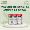 Newcastle Disease Vaccine, Live (Strain La Sota)