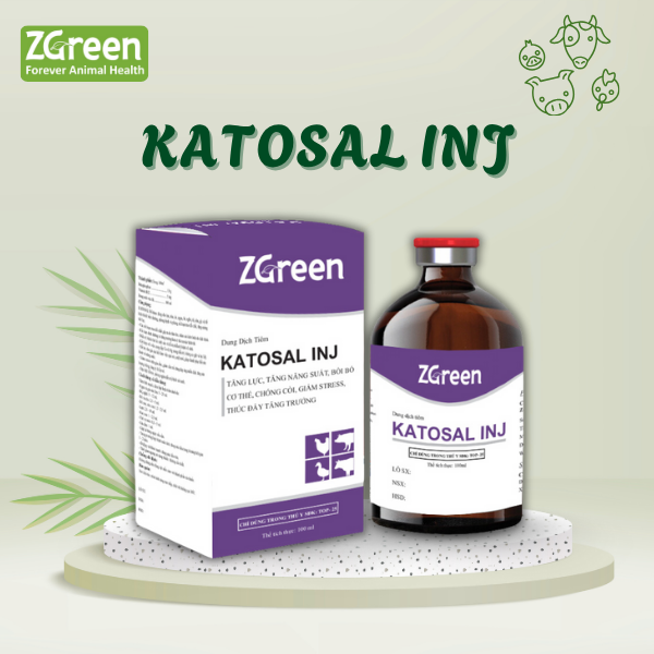 KATOSAL INJ