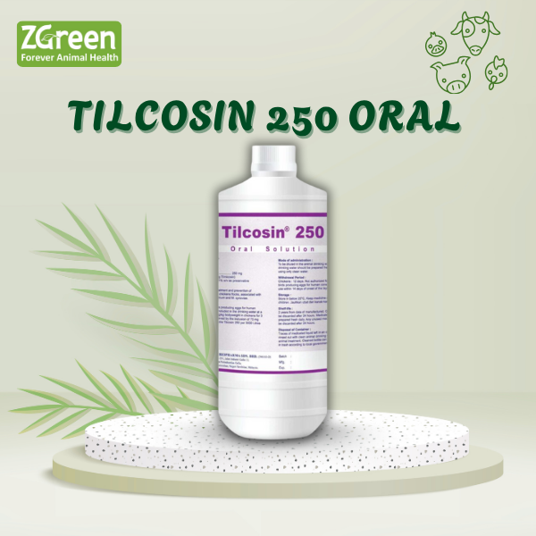 TILCOSIN 250 ORAL SOLUTION - 1 Lít